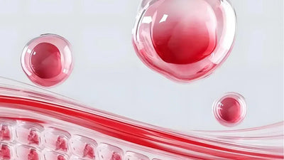 Integratore di Collagene e Acido Ialuronico: cosa funziona davvero (e perché la dose conta) - Balance Nutrition