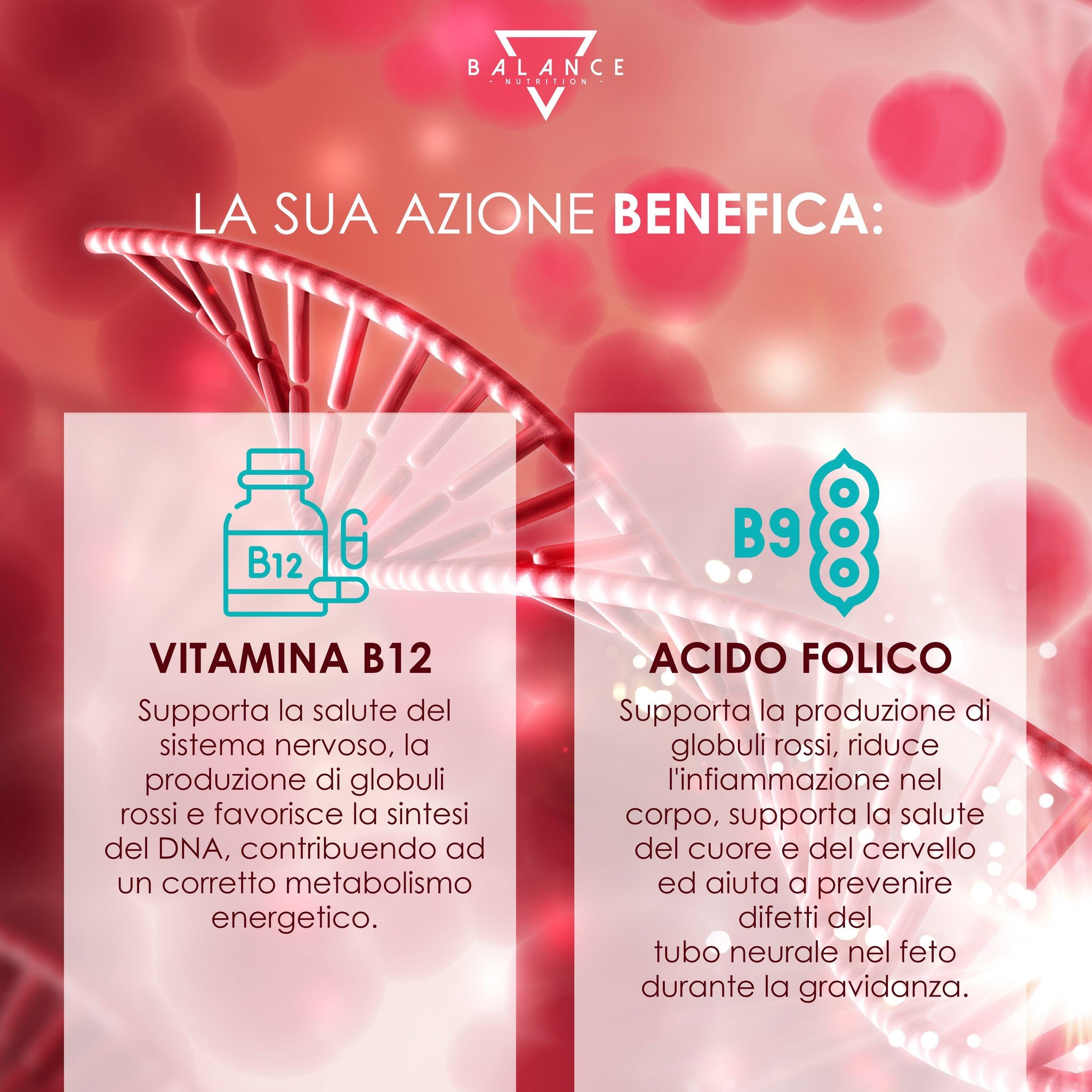 VITAMINA B12 E ACIDO FOLICO - Integratore Alimentare per ridurre stanchezza, supporto in gravidanza e rinforzo del Sistema Immunitario - Balance Nutrition