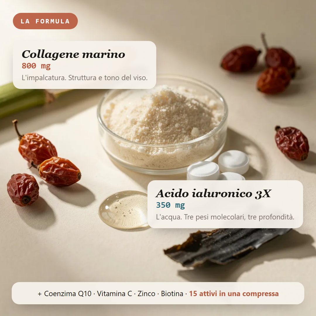 La formula